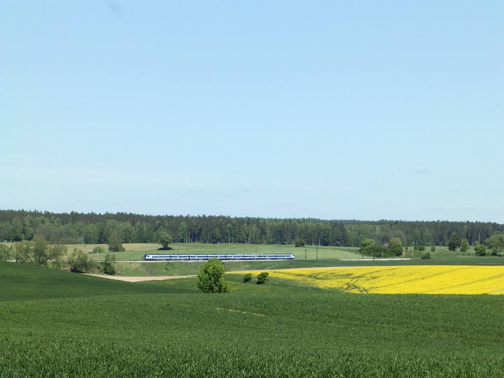 Foto nr: 1339