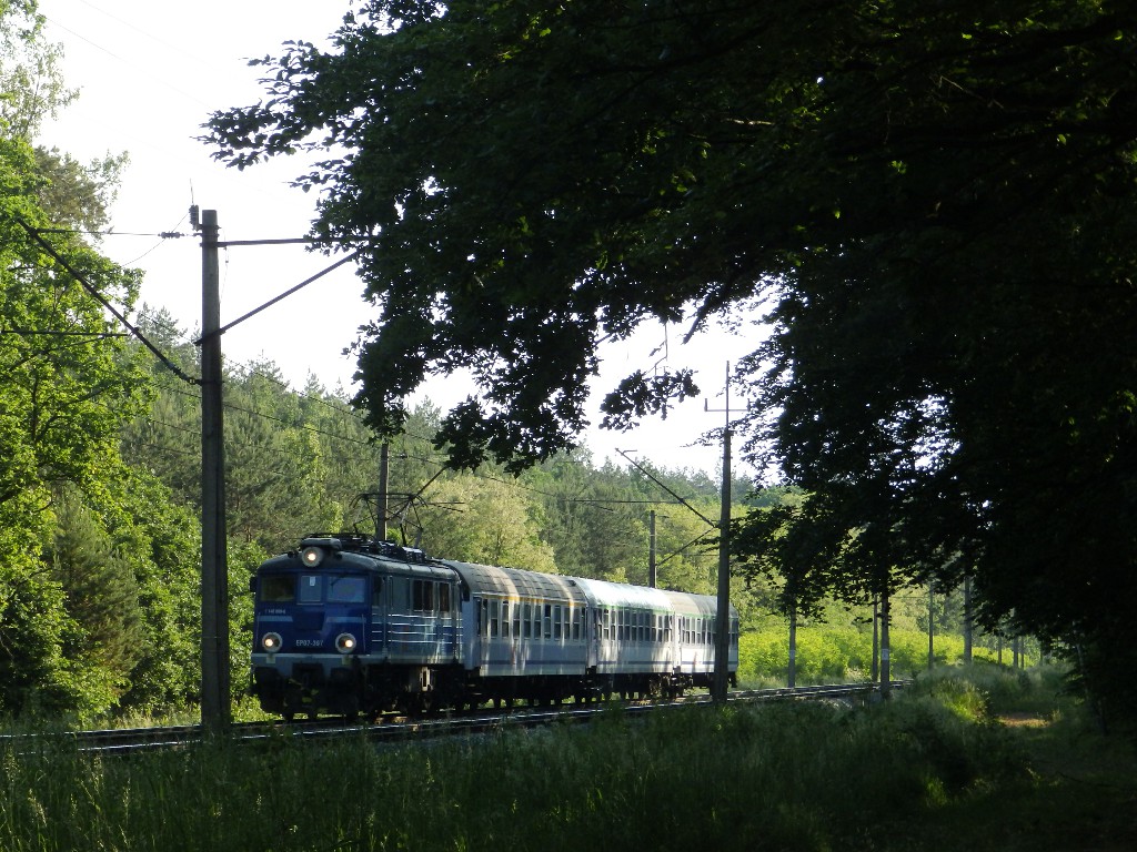 Foto nr: 1363