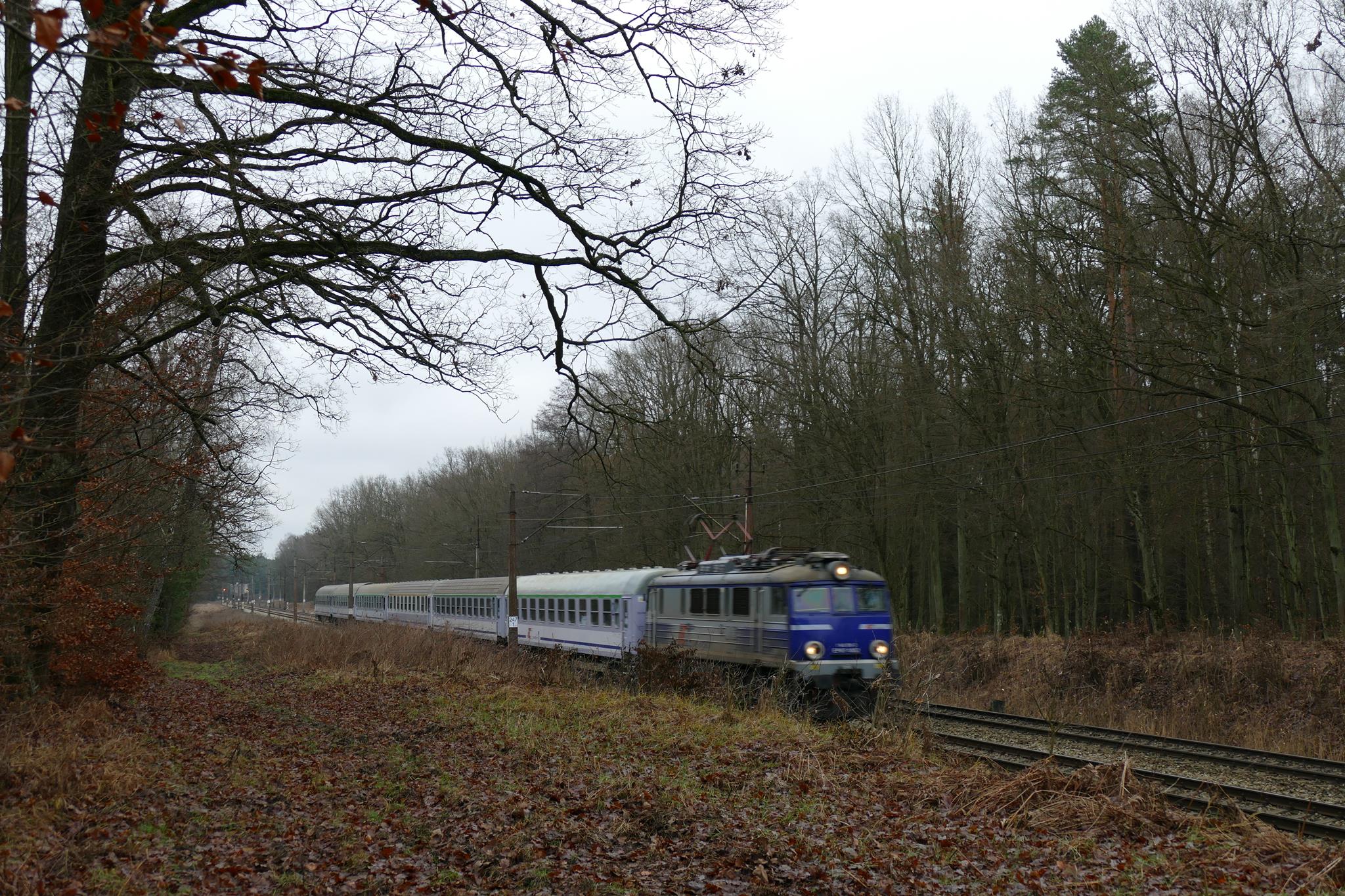 Foto nr: 1731