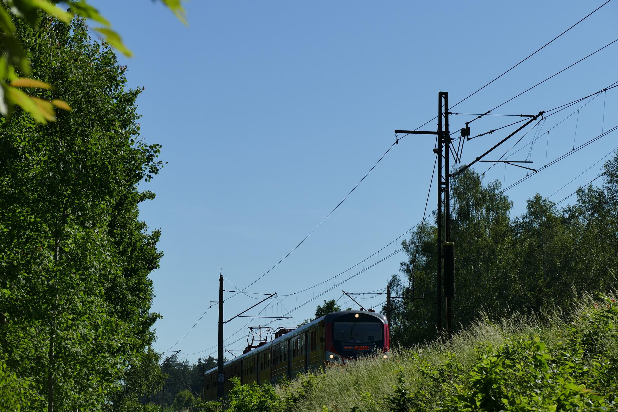 Foto nr: 2031