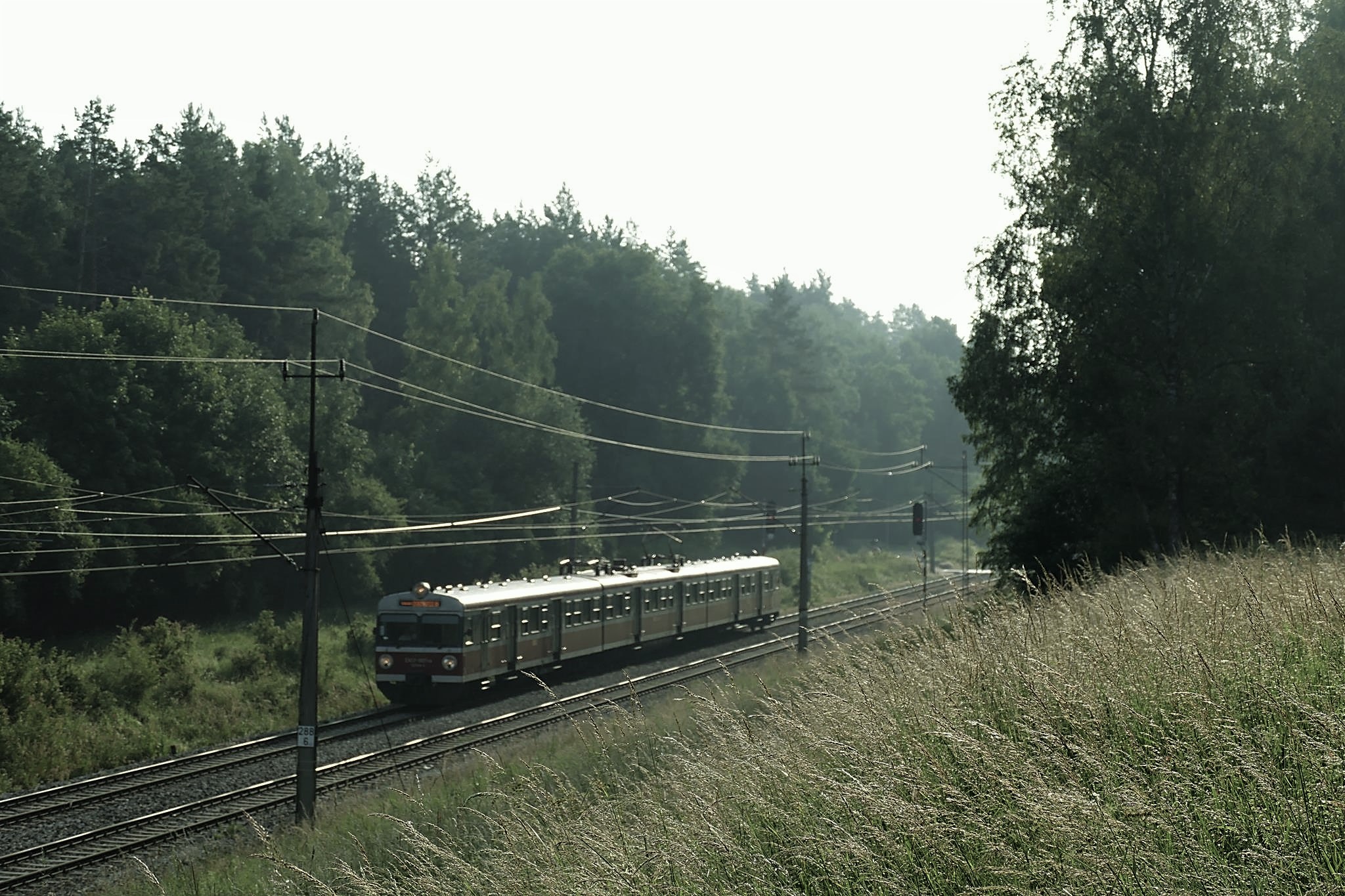 Foto nr: 2045