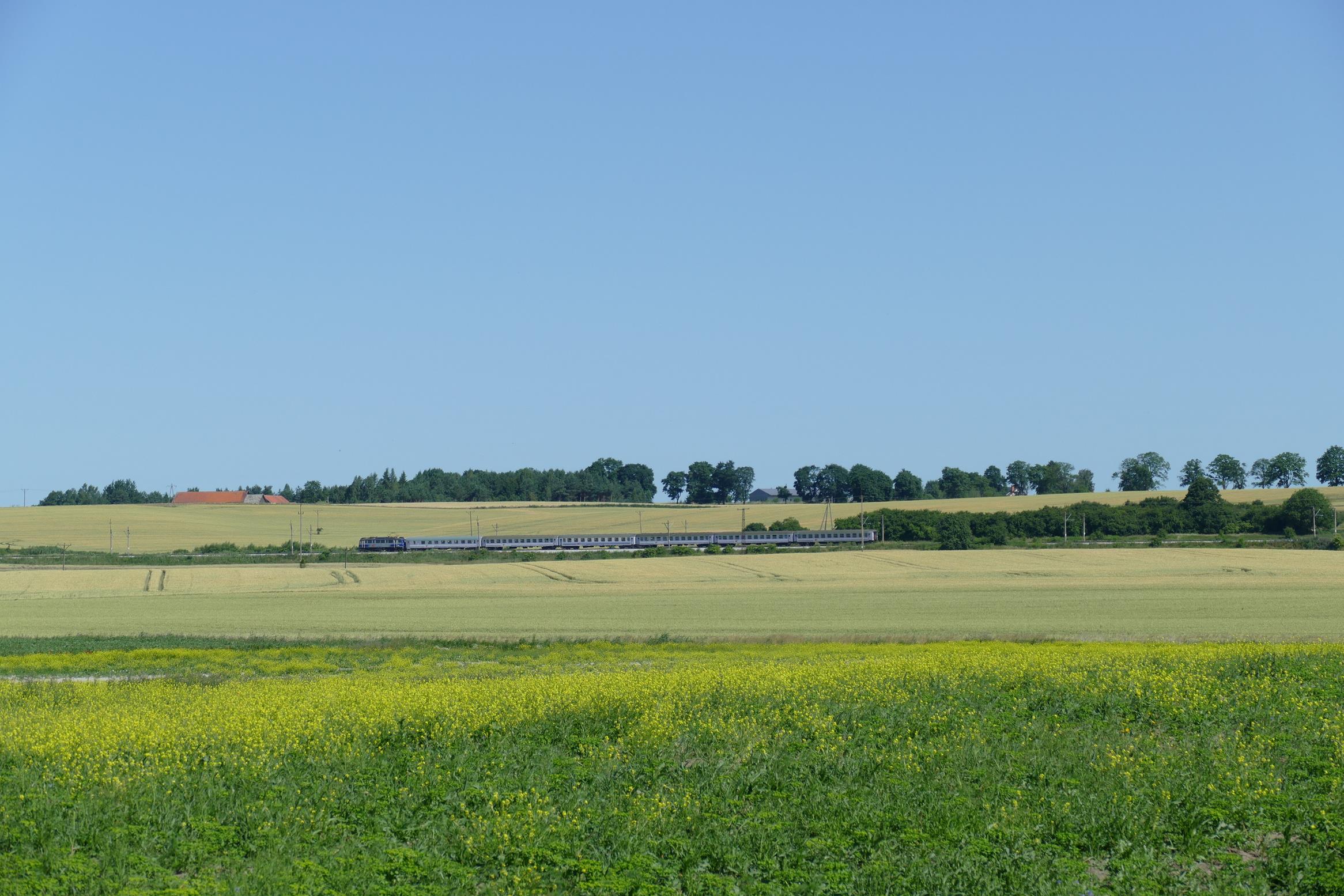 Foto nr: 2073