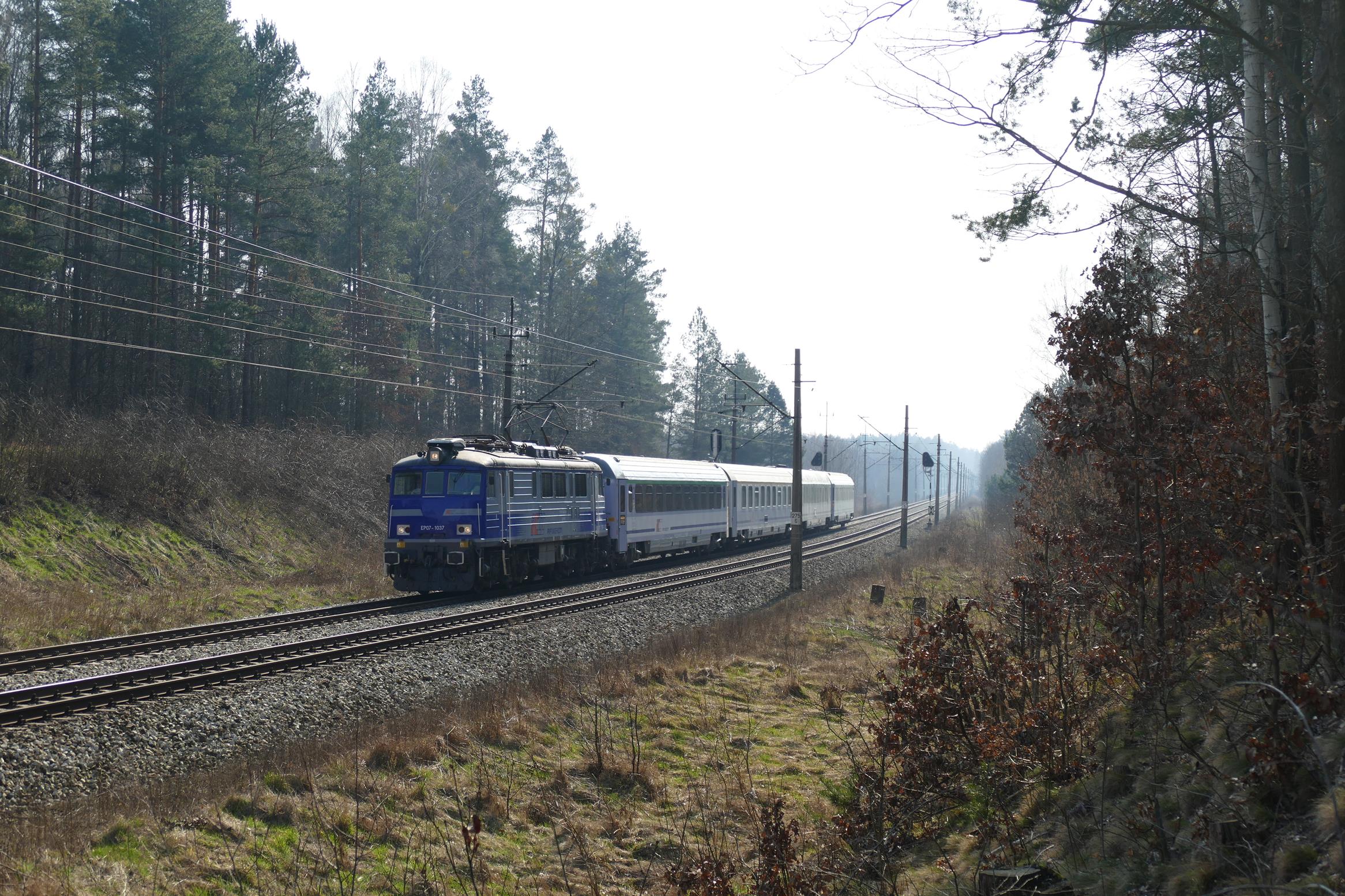 Foto nr: 2539