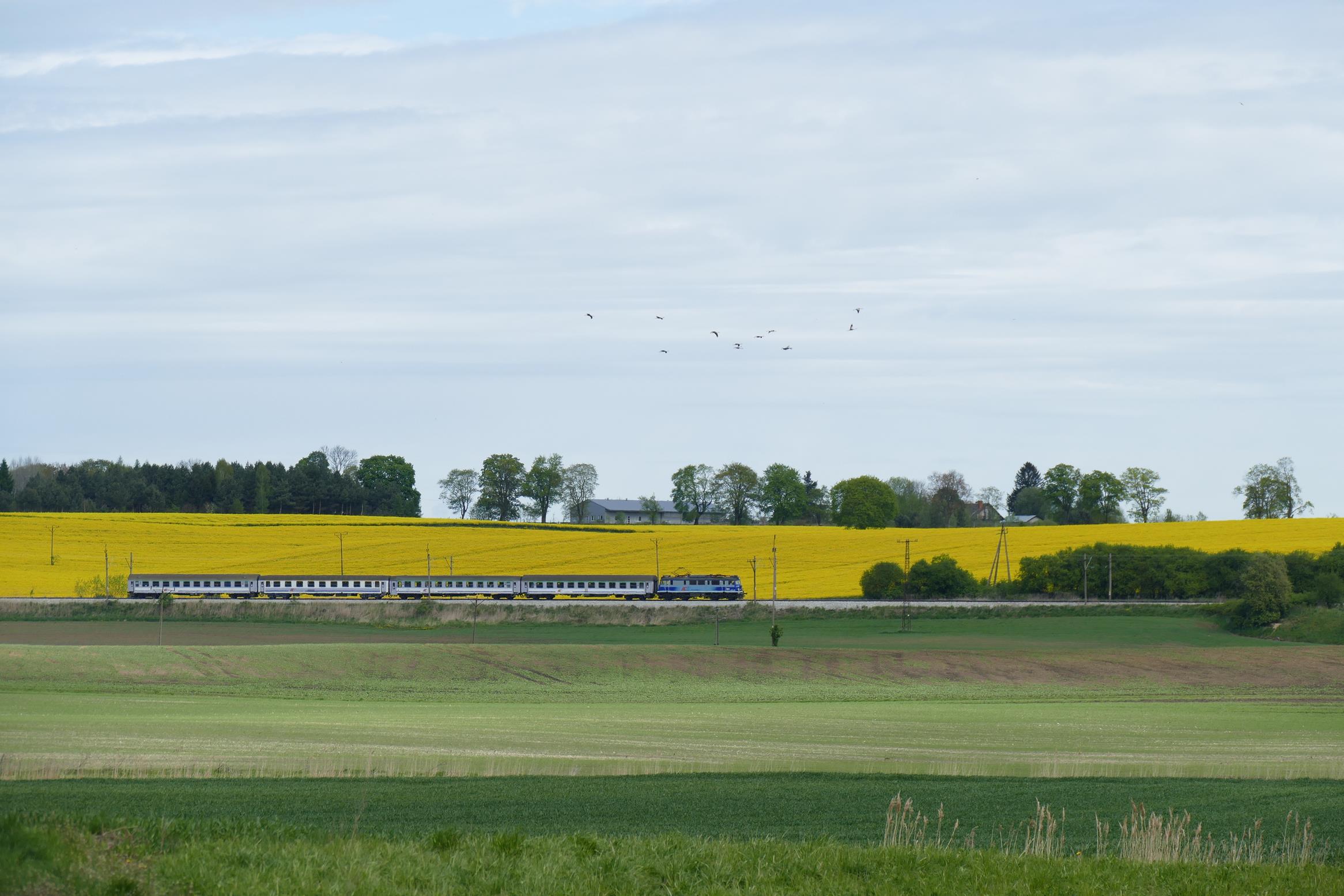 Foto nr: 2597