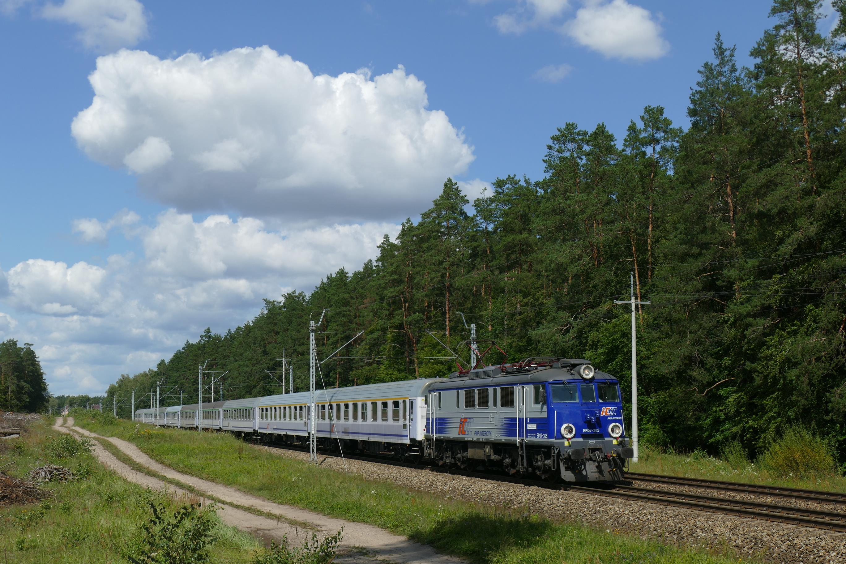 Foto nr: 5539