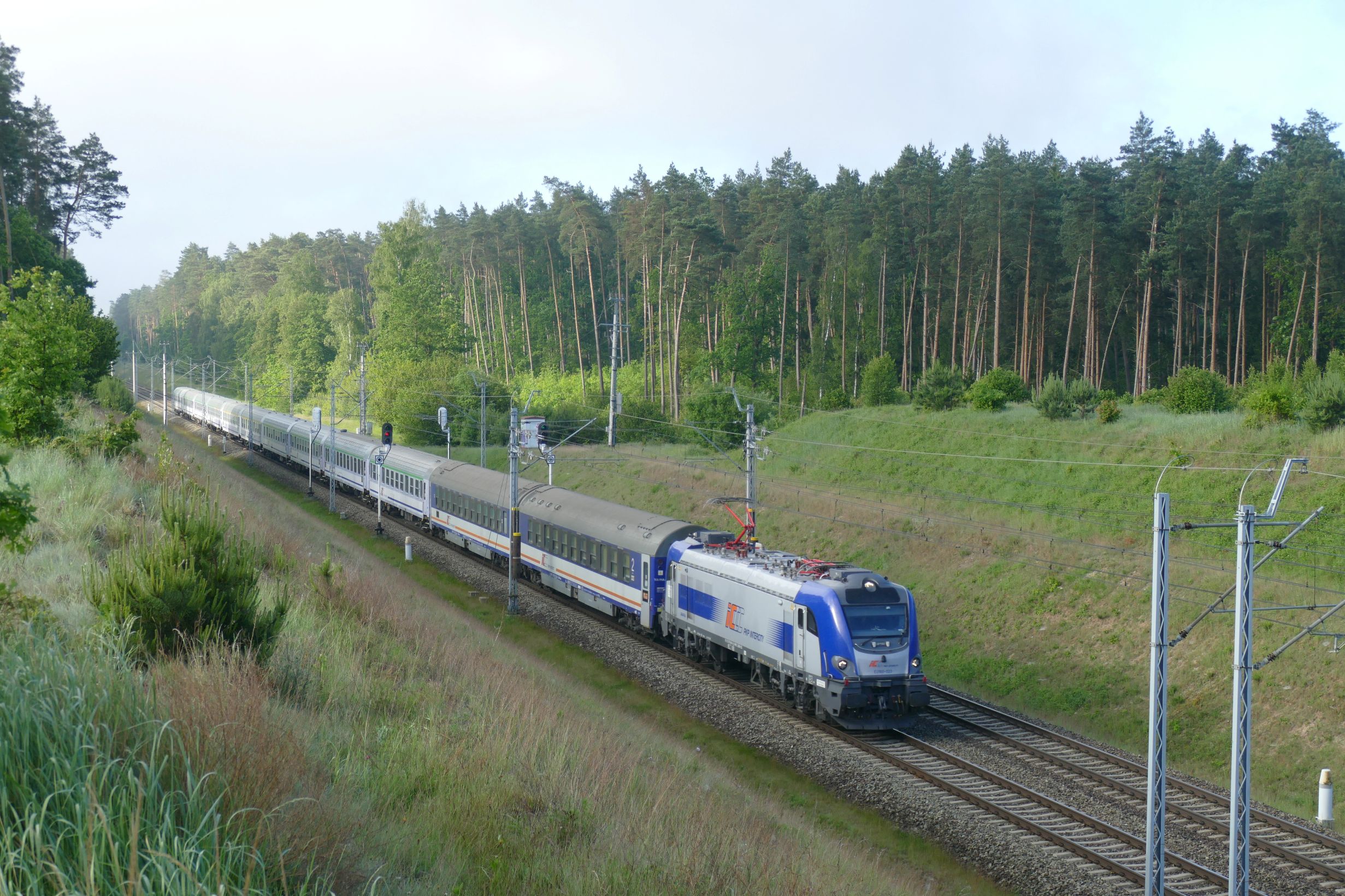 Foto nr: 5915