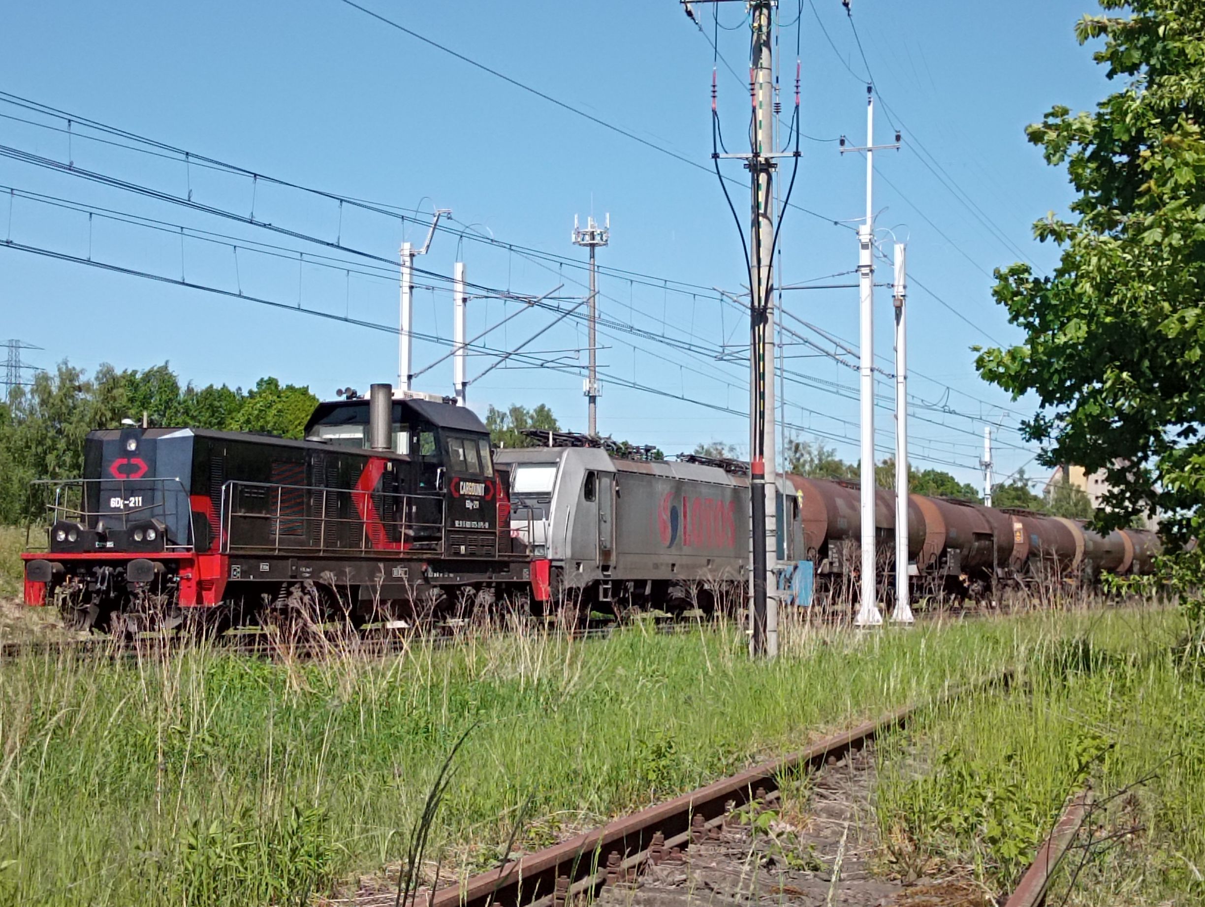 Foto nr: 5933