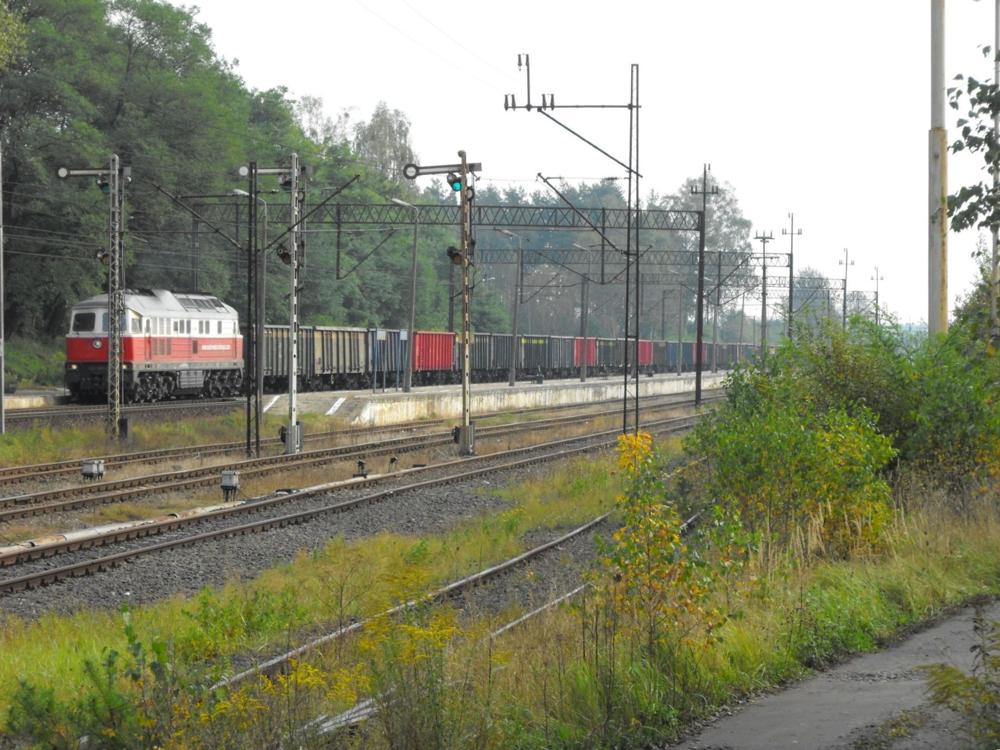 Foto nr: 5946