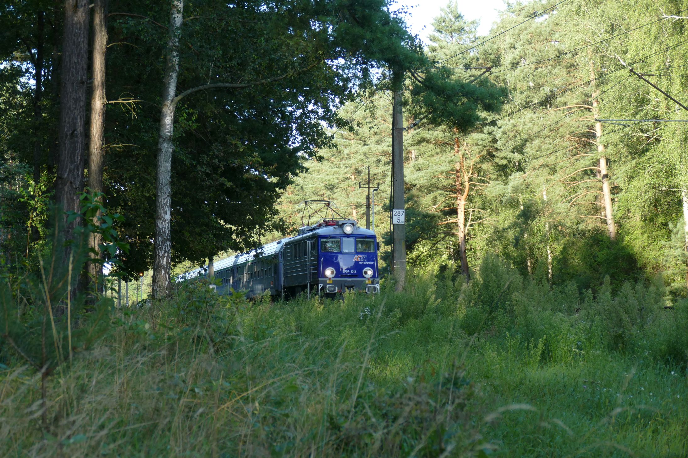 Foto nr: 5983