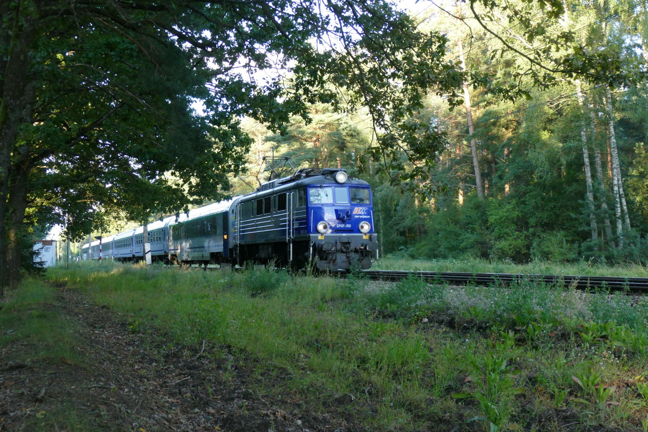 Foto nr: 6003