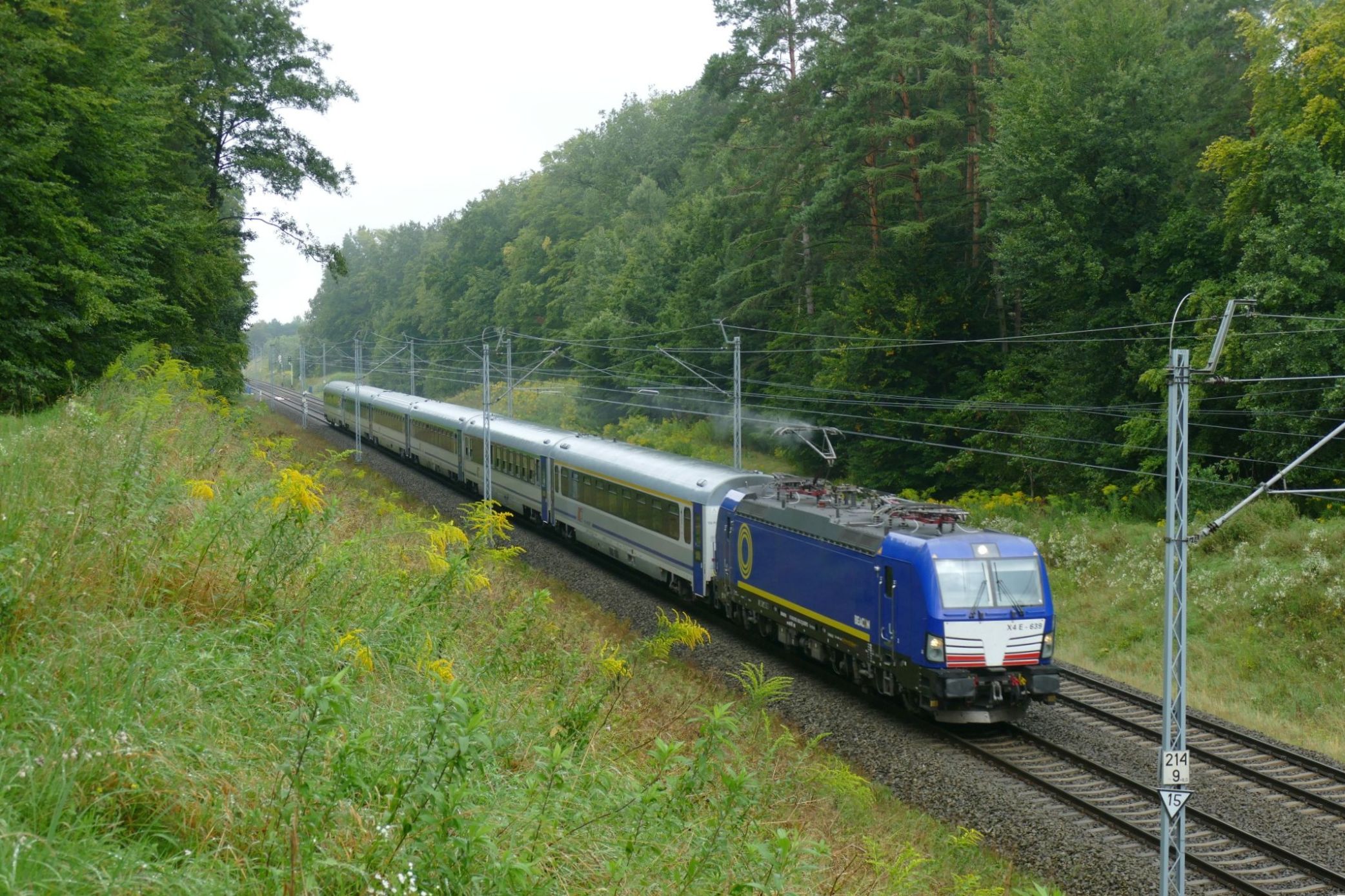 Foto nr: 6005