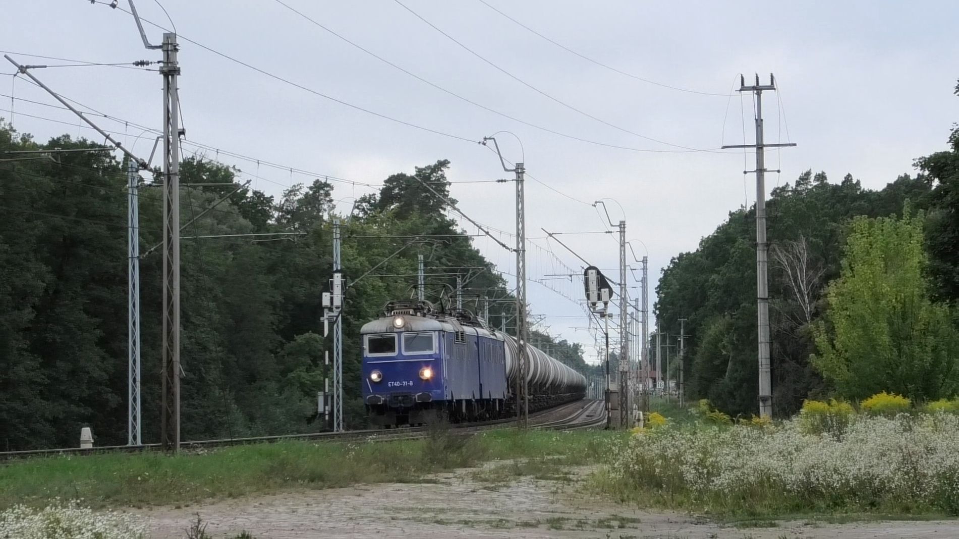 Foto nr: 6012