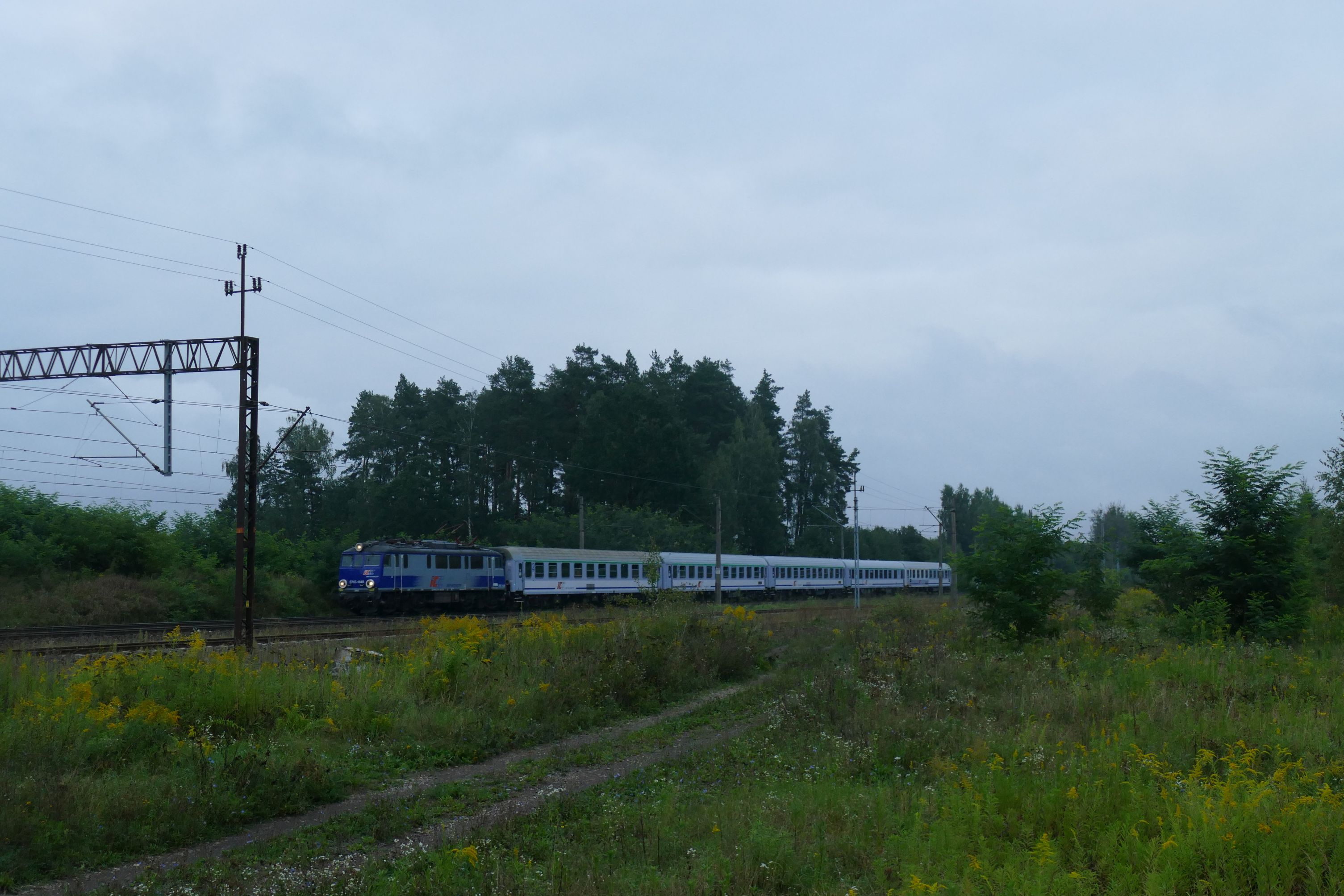 Foto nr: 6015