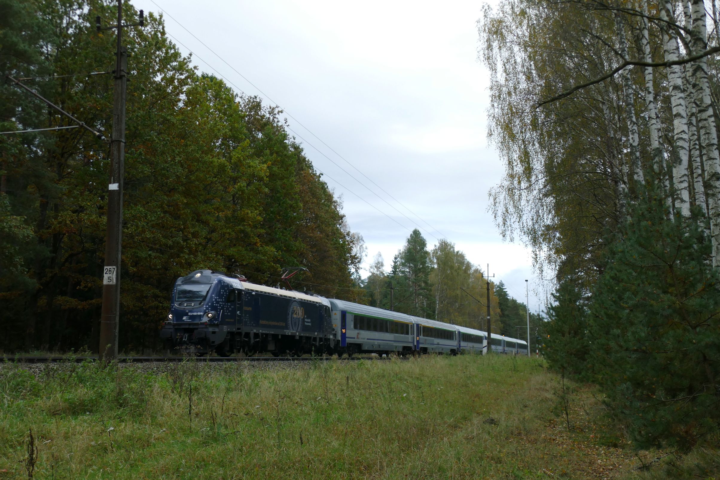 Foto nr: 6035