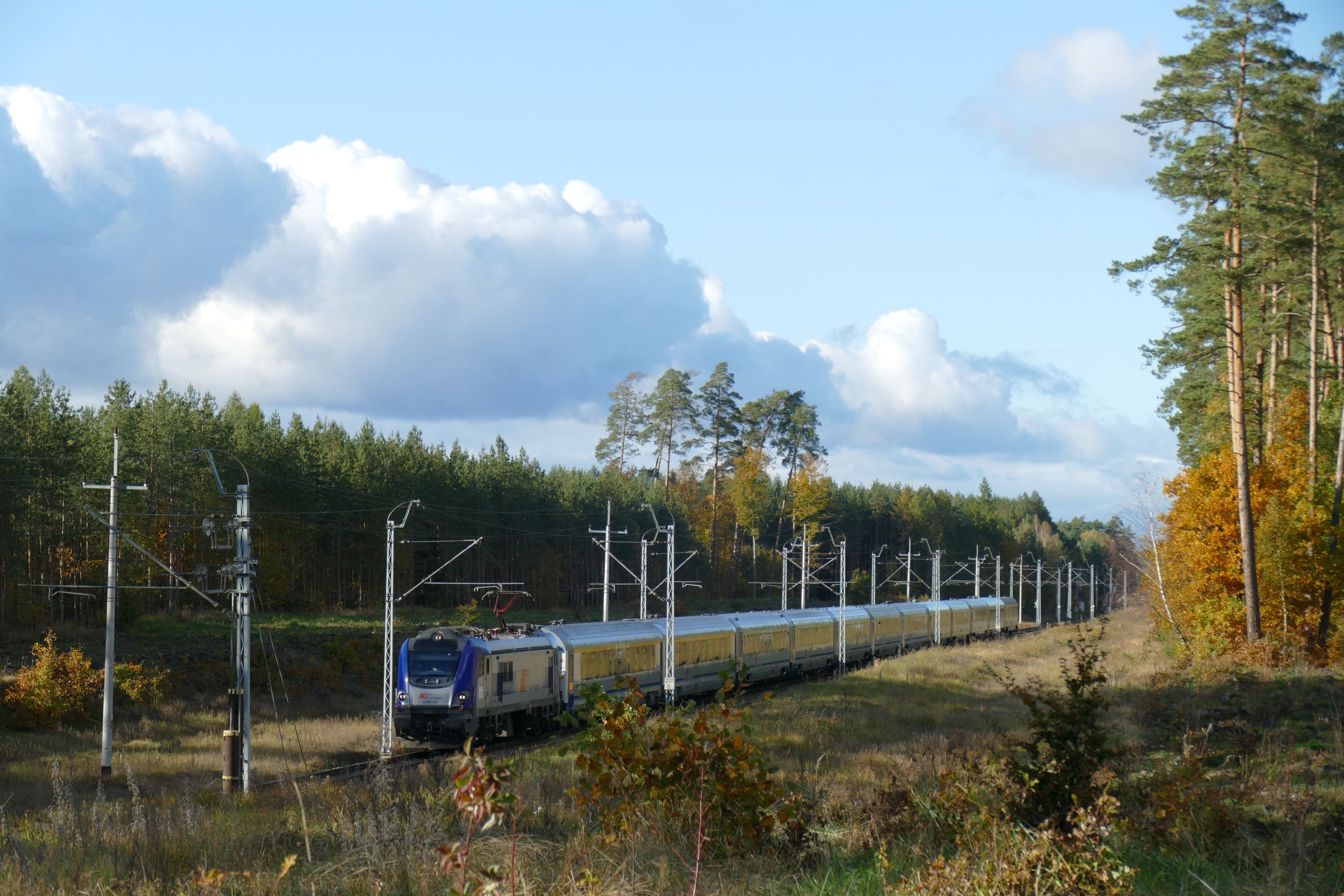 Foto nr: 6042