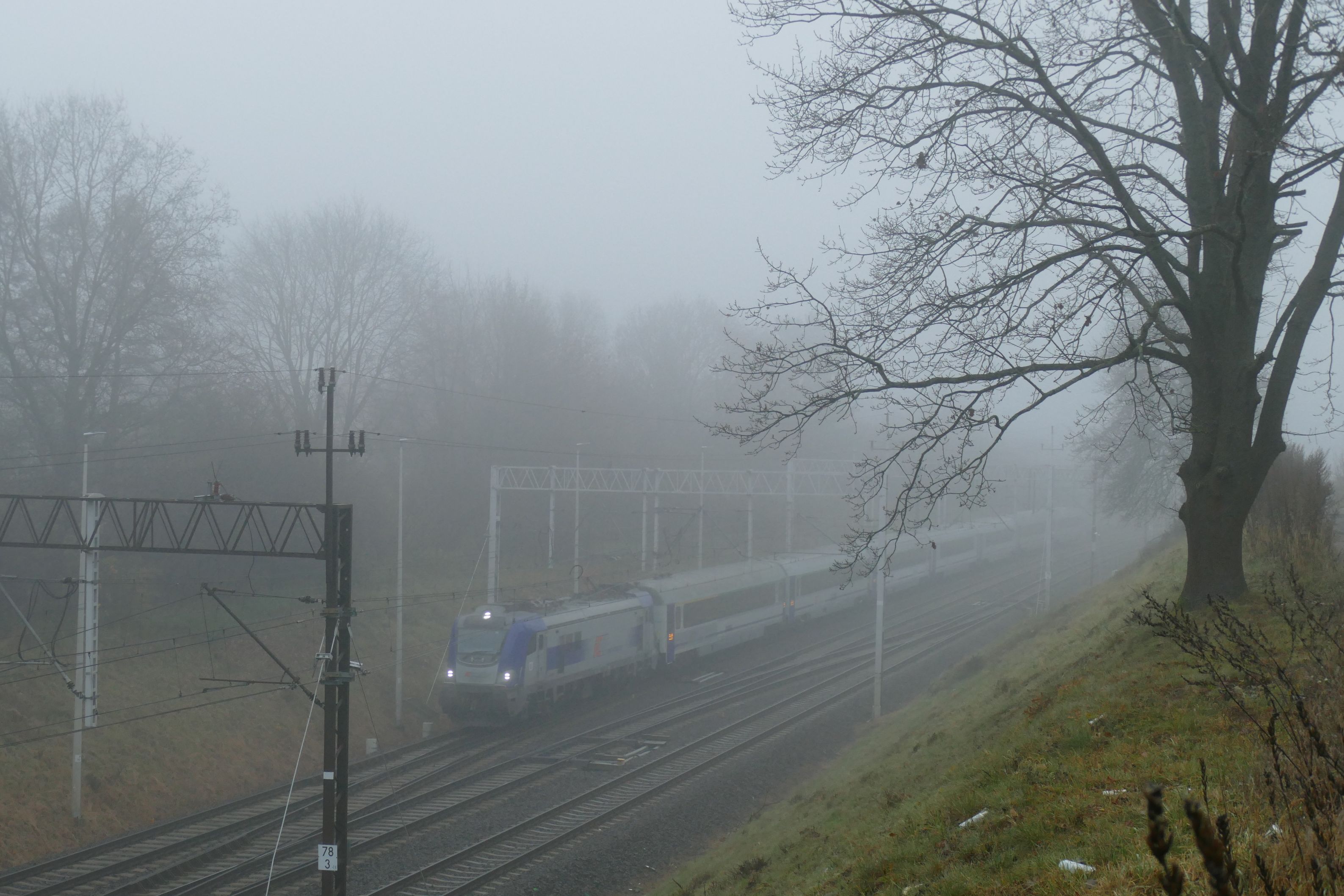 Foto nr: 6056