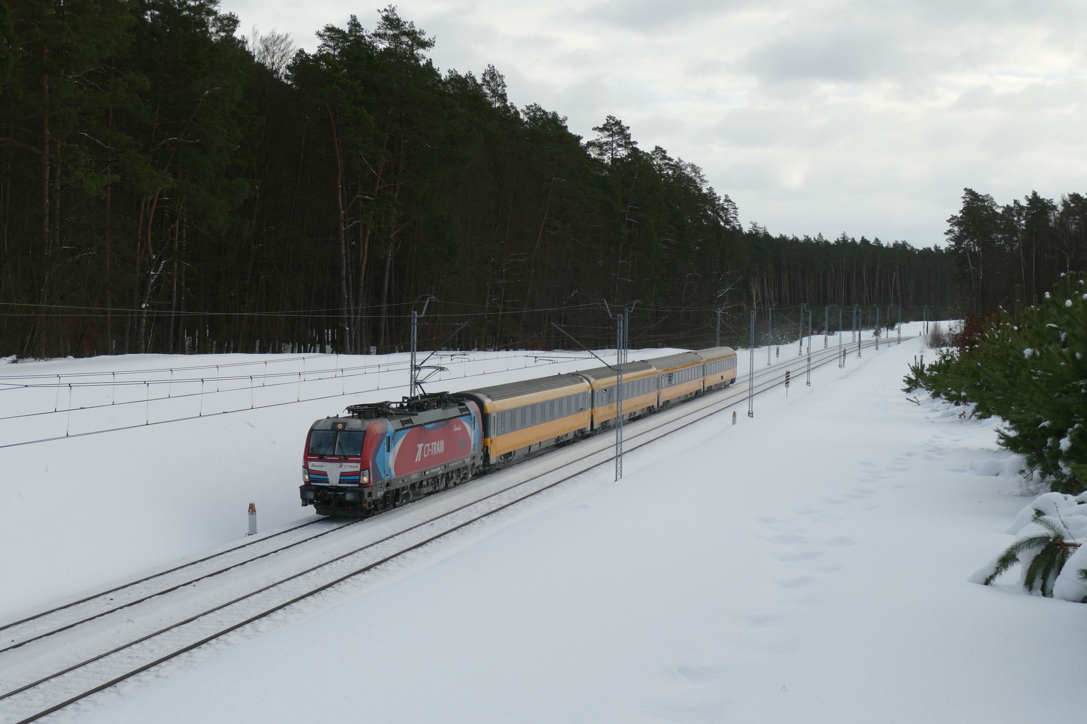 Foto nr: 6083