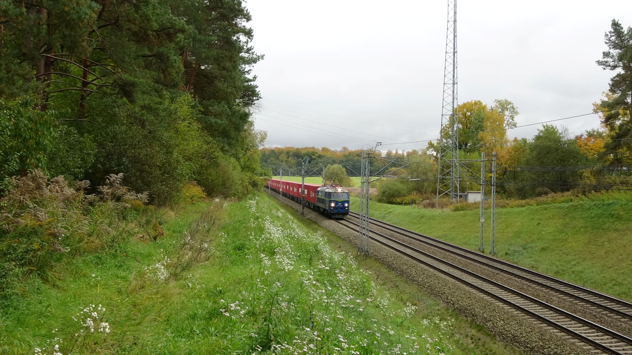 Foto nr: 6088