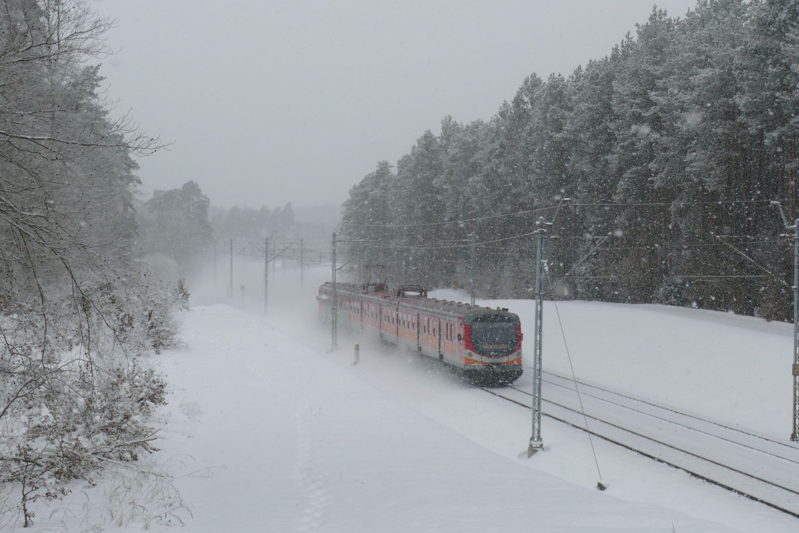 Foto nr: 6089